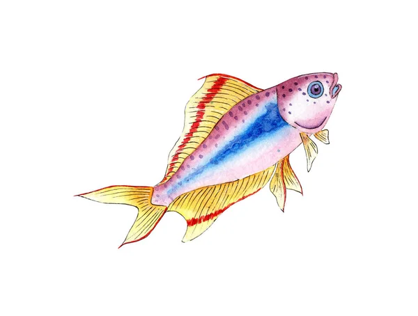Υδατογραφία Απεικόνιση Ενός Μικρού Λιλά Ψάρια Πολύχρωμα Ψάρια Ενυδρείου Θαλάσσια — Φωτογραφία Αρχείου