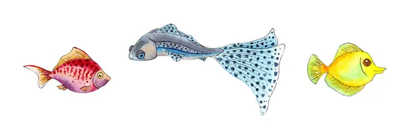 Aquarel Illustratie Van Kleine Kleurrijke Vissen Aquariumvissen Mariene Leven Tropen — Stockfoto