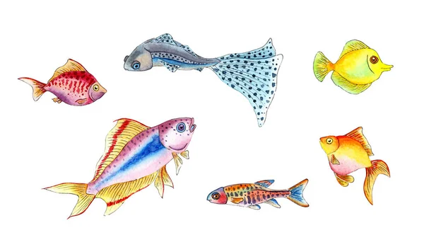 Large Set Watercolor Illustrations Small Colorful Fish Aquarium Fish Marine — Stock Photo, Image
