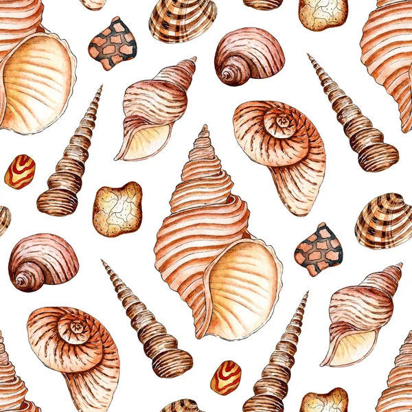 Ilustração Aquarela Conchas Padrão Sem Costura Cores Bege Interminavelmente Repetindo — Fotografia de Stock