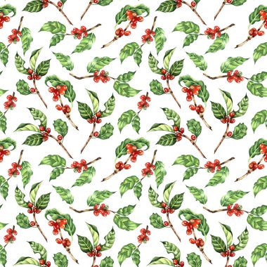 Suluboya çizimler kahve ağacı, dal, yaprak, fasulye. Doğanın kusursuz tekrarlayan deseni basit iz, beyaz arka planda izole edilmiş tropikal çiçeklerin çizimi. Elle çizilmiş..