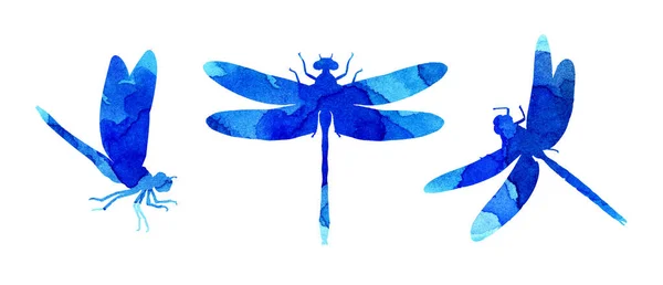 Boya Çizgili Mavi Yusufçukların Suluboya Çizimleri Sevimli Komik Böcek Izi — Stok fotoğraf