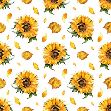 Çiçek desenli ayçiçeği ve yapraklarının suluboya çizimi. Botanik çiçek arkaplanının kusursuz tekrarı. Tasarım elementleri çiçek, tomurcuk ve yapraklar. Beyaz arka planda izole edilmiş. Elle çizilmiş..