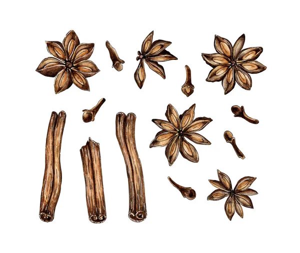 Watercolor Painting Condiment Sprocket Cinnamon Bark Rolled Chopped Cinnamon Sticks — Stock Photo, Image