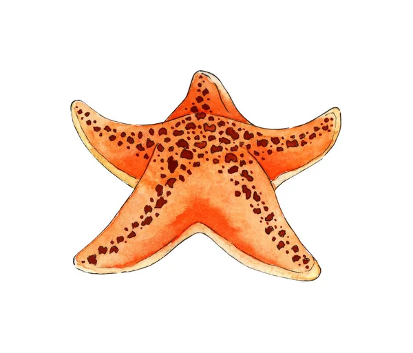 Pintura Acuarela Naranja Estrella Mar Océano Animales Marinos Habitante Del — Foto de Stock
