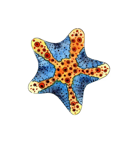 Pintura Acuarela Azul Con Estrella Mar Naranja Océano Animales Marinos — Foto de Stock