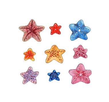 Küçük karalama denizyıldızı suluboya seti. Okyanus, deniz hayvanları. Kumlu poponun sakini. Yıldızın beş ışını. Beyaz arka planda izole edilmiş. Elle çizilmiş..