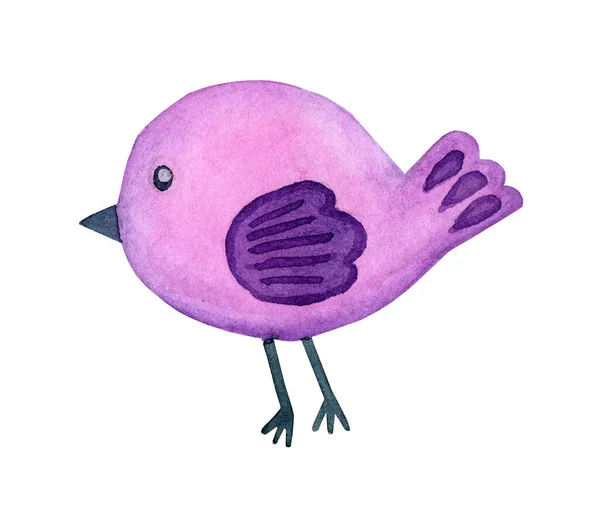 水彩画涂鸦紫丁香鸟 卡通风格的卡通可爱的小鸟 彩色装饰元素的卡片 邀请函 纺织品 面料的设计 被白色的背景隔离了抽奖 — 图库照片