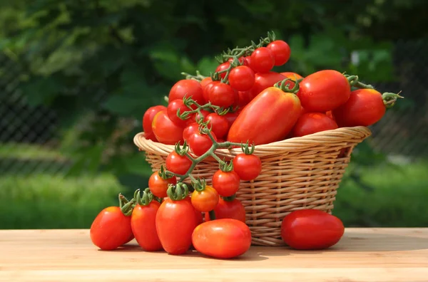 有机蔬菜市场新鲜成熟番茄 — 图库照片