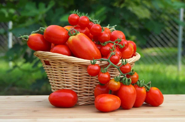 农民市场新鲜有机成熟番茄 — 图库照片