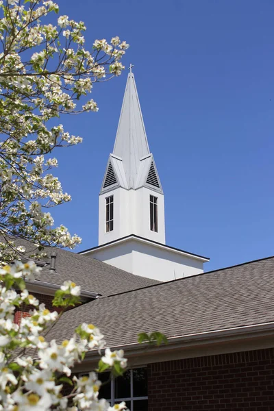 樱桃树盛开 教堂立柱为背景 — 图库照片