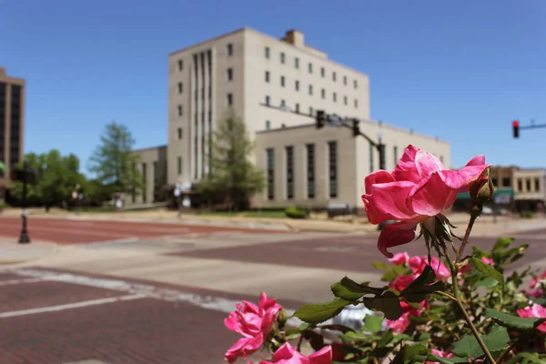 Şehir merkezindeki Tyler 'daki Smith County Adliyesi' nde pembe güller, arka planda TX