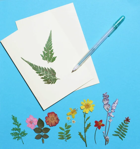 Gedroogde Bloemen Blauwe Achtergrond Van Het Papier Met Lege Wenskaart — Stockfoto