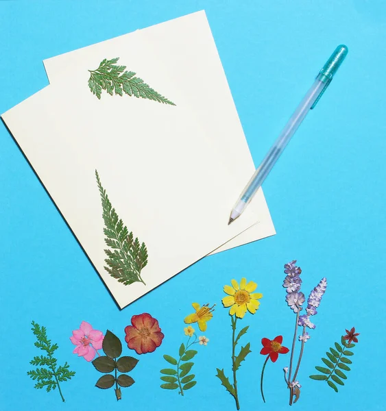 Gedroogde Bloemen Blauwe Achtergrond Van Het Papier Met Lege Wenskaart — Stockfoto