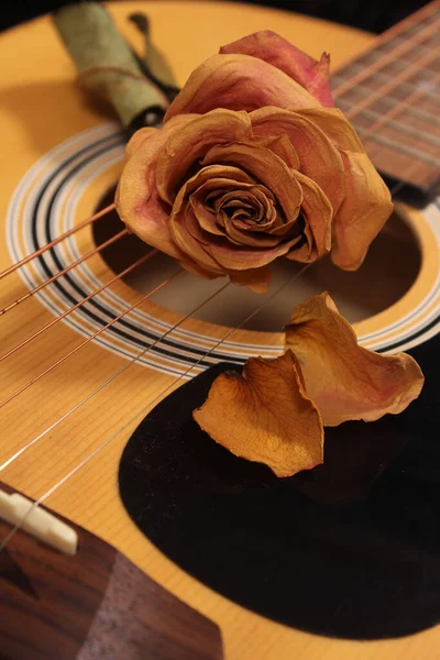 Classic Acoustic Guitar Dried Roses Royalty Free Stock Photos