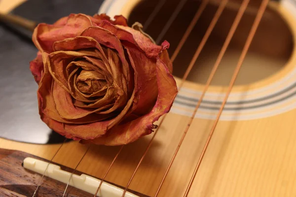 Classic Acoustic Guitar Dried Roses Royalty Free Stock Photos