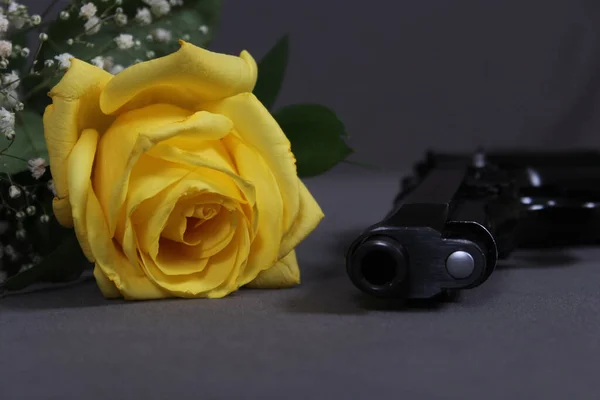 Жовта Троянда Столі Чорним Пістолем — стокове фото