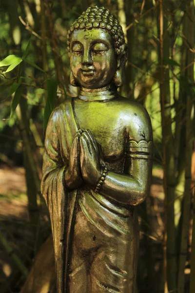 Statue Bouddha Dans Forêt Bambous — Photo