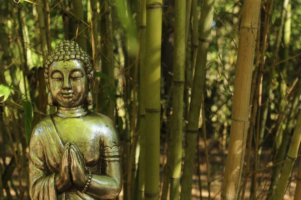 Statue Bouddha Dans Forêt Bambous — Photo