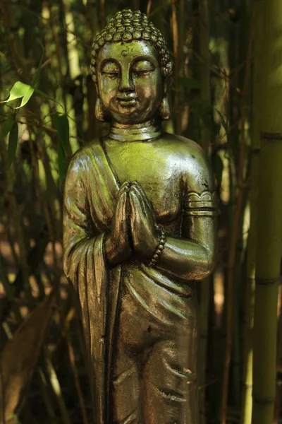 Statue Bouddha Dans Forêt Bambous — Photo