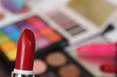 Parlak Renkli Kozmetik Boya Paletleri