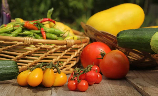 Organic Summer Vegetable Harvest Table Outdoors — Stock Photo, Image