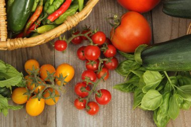 Organik Yaz Sebze Hasadı Açık Masa 'da