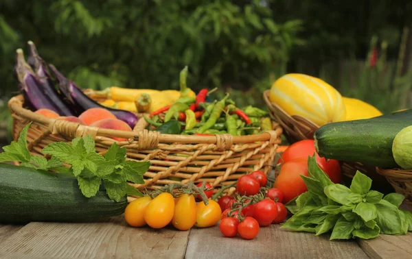 Organiczne Letnie Zbiory Warzyw Stole Zewnątrz — Zdjęcie stockowe