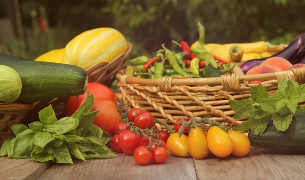Organic Summer Vegetable Harvest Table Outdoors — Stock Photo, Image