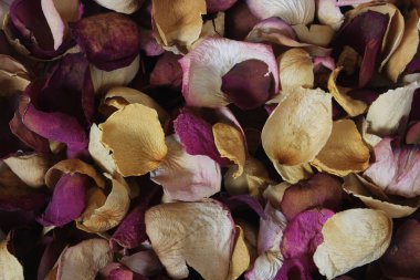 Bir sepet kurumuş gül ve gül yaprağı.