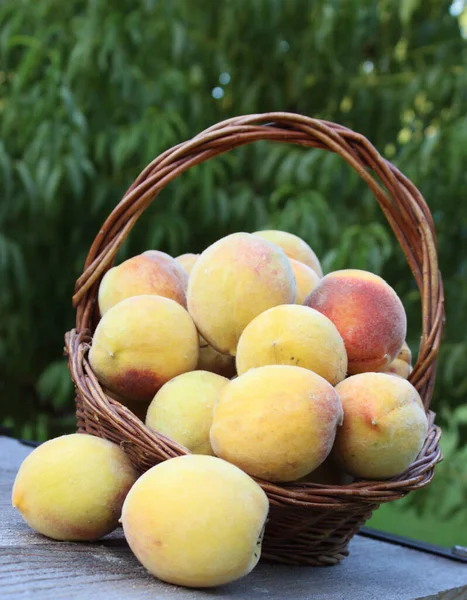 Korb Mit Frischen Bio Pfirsichen Auf Dem Tisch Obstgarten — Stockfoto