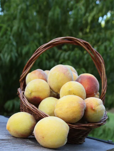 Korb Mit Frischen Bio Pfirsichen Auf Dem Tisch Obstgarten — Stockfoto