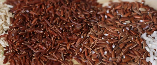 Jasmínová Rýže Černá Divoká Rýže Hnědá Rýže Himálajská Červená Hnědá — Stock fotografie