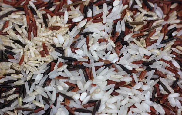 Jasmínová Rýže Černá Divoká Rýže Hnědá Rýže Himálajská Červená Hnědá — Stock fotografie