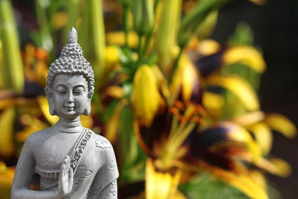 Статуя Будди Полем Жовтих Квітів Фоновому Режимі Нехай Dof — стокове фото