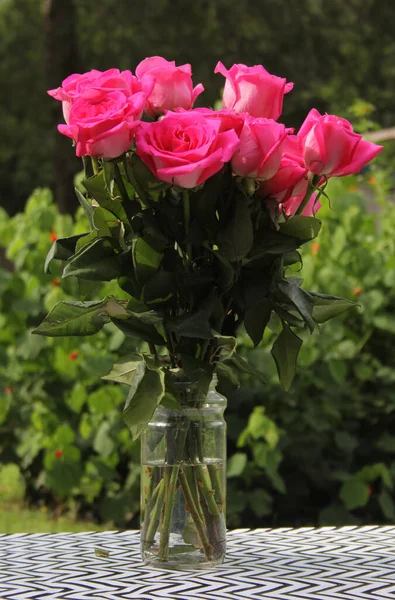 Vaso Rosas Rosa Frescas Jardim — Fotografia de Stock
