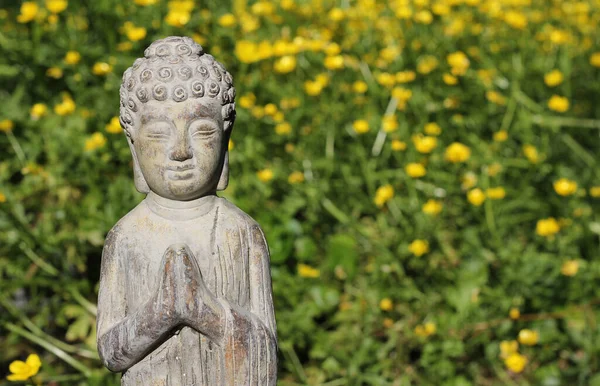 Buddhova socha s polem žlutých květin v pozadí — Stock fotografie