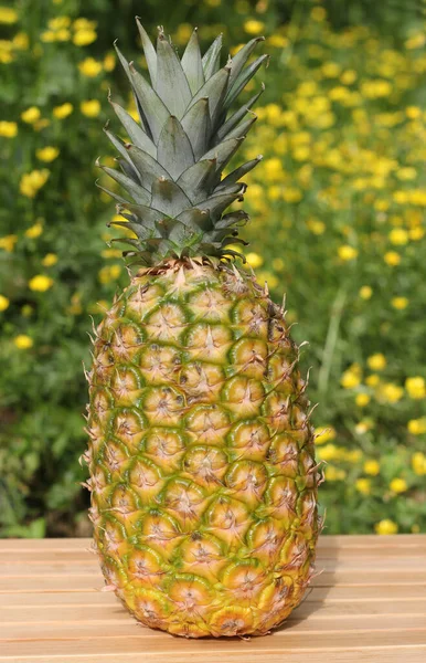 Čerstvý ananas venku se žlutými květy na pozadí mělké DOF — Stock fotografie