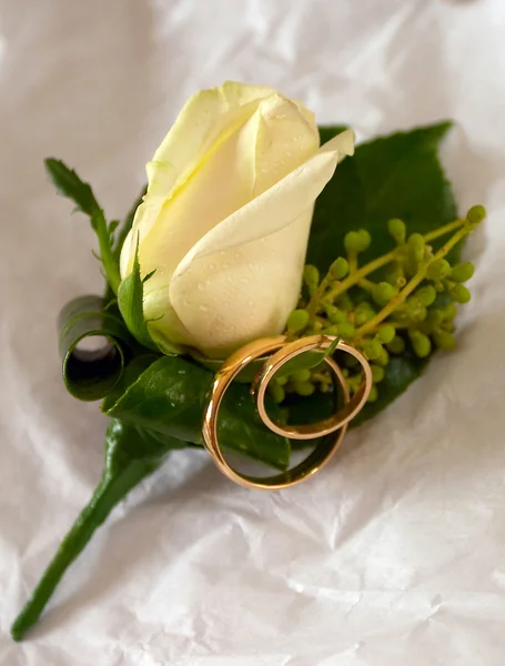 Желтая роза с обручальными кольцами — стоковое фото