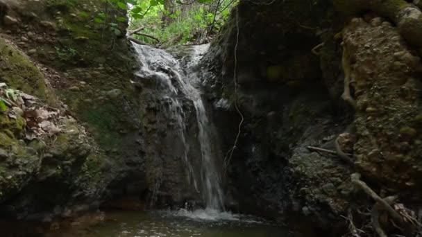 Eau Coule Une Petite Cascade Images — Video