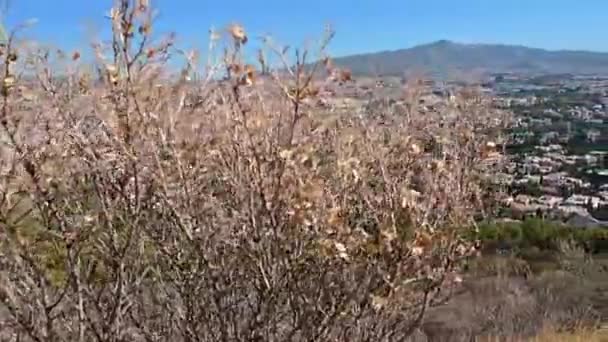 Sağa Doğru Çekilen Çekim Güneşli Bir Günde Atina Nın Kuzey — Stok video