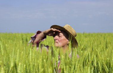 Buğday alanında gizli çiftçi onun hasat korumak