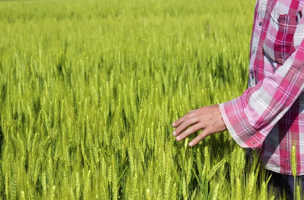 Farmer is pleased with his farm — Stock Photo, Image