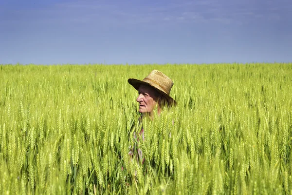 Onun yeşil buğday alan kafasına çiftçiler