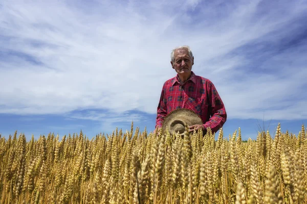 Farmer stand in wheat field with hat in his arm — Stock Photo, Image