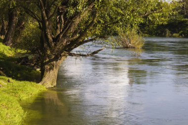nehir vrbas görüntüsü