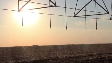 Center pivot sulama günbatımı 4