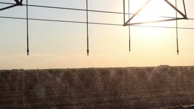 Center pivot sulama günbatımı 5