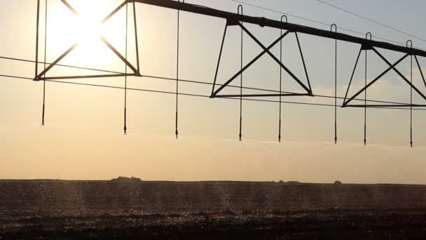 Center pivot irrigation at sunset 2 — Stock Video