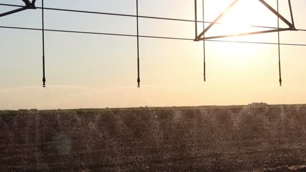 Bewässerung im Zentrum bei Sonnenuntergang 5 — Stockvideo